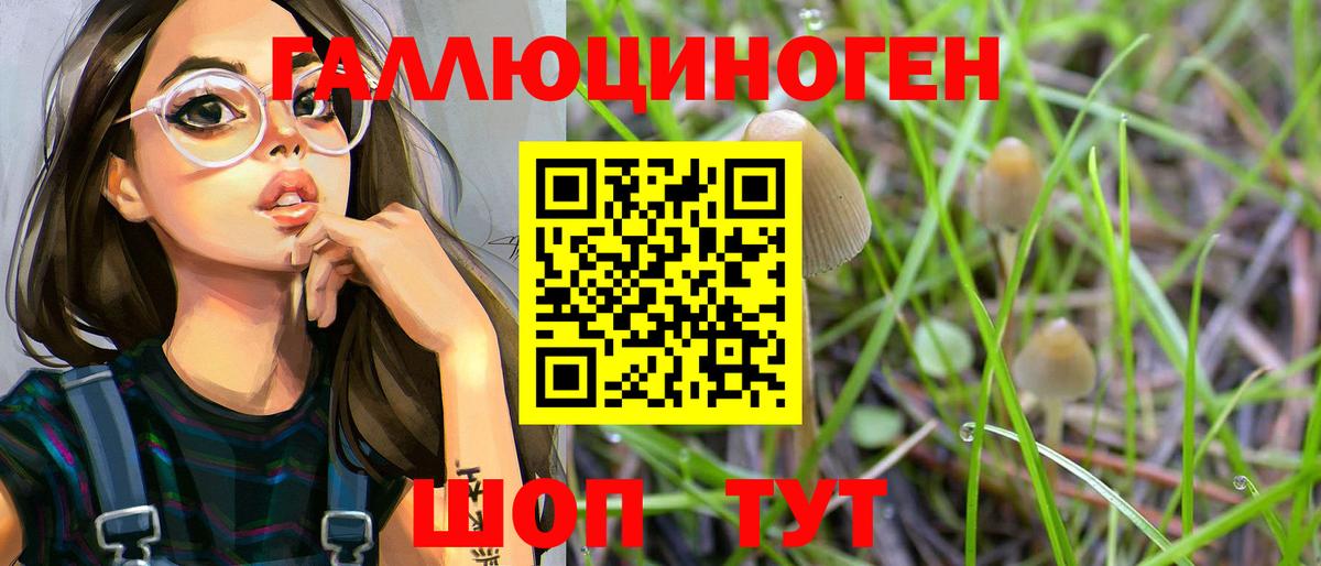 Советский  Псилоцибиновые грибы Psilocybine cubensis  хочу   Псилоцибиновые грибы GOLDEN TEACHER  Вход с VPN 