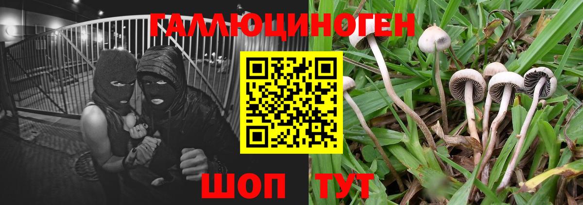 Галлюциногенные грибы Magic Shrooms Советский